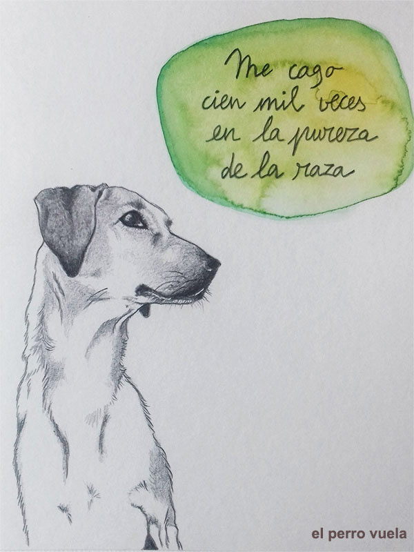 Rocío Macías (El perro vuela)