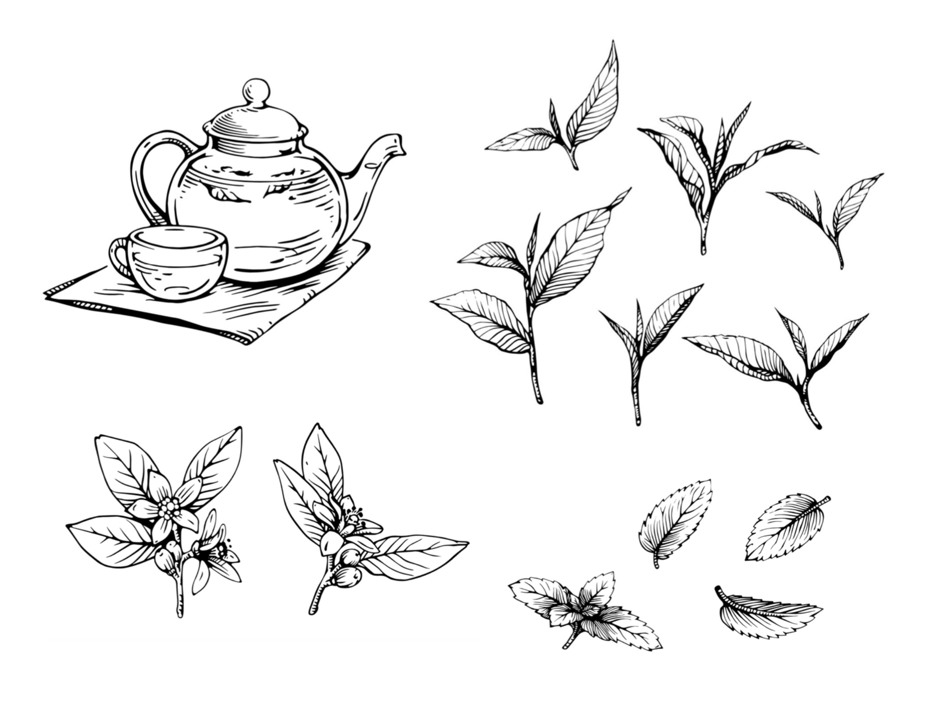 Technical drawings for tea packages