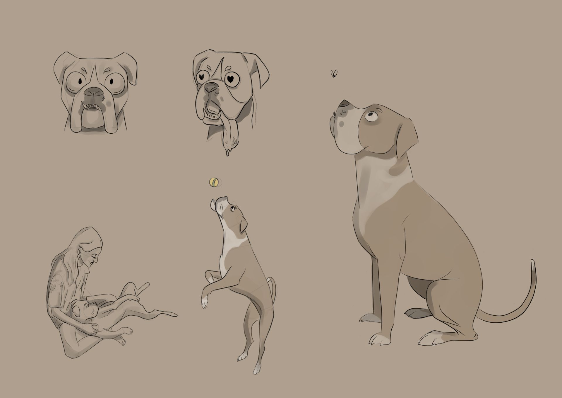 Concept Art - Dog Boxer