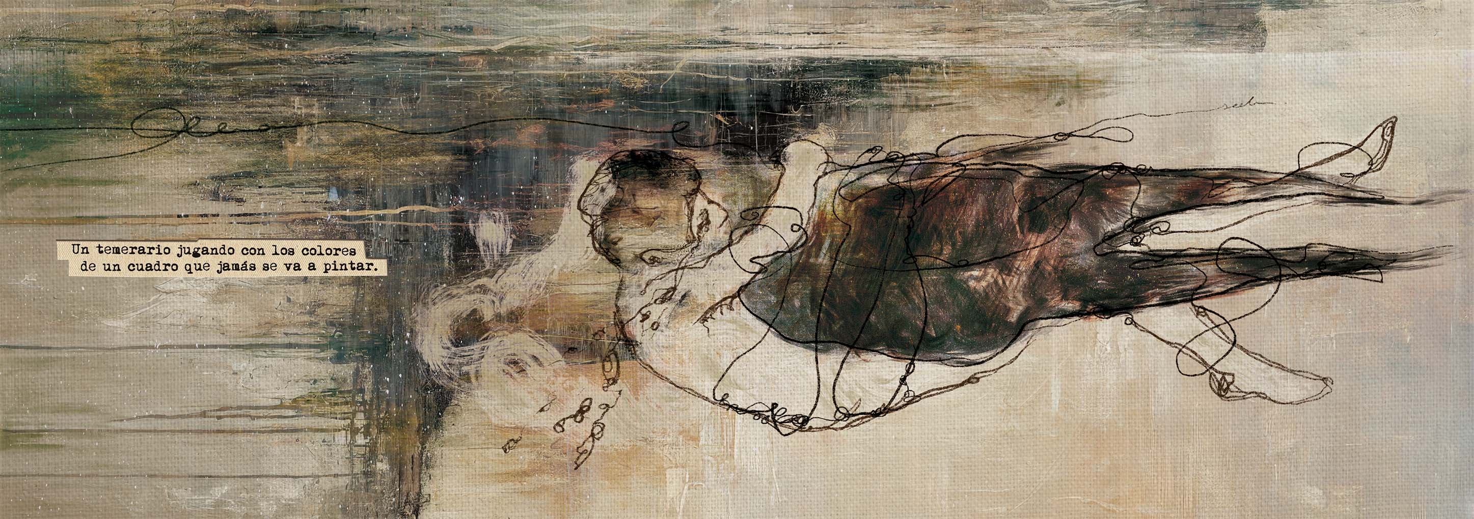 seda